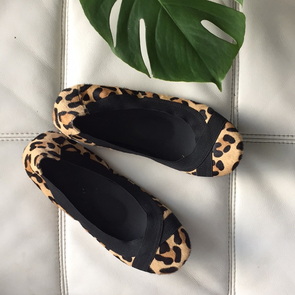 Adam Tucker by Me Too Leopard ballet flats